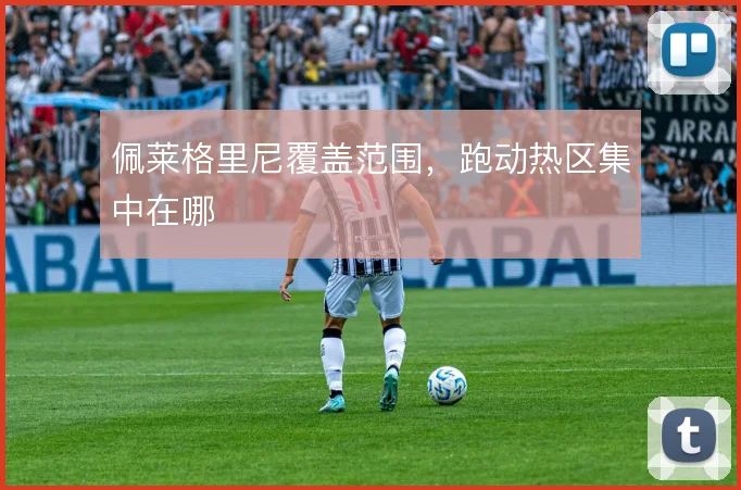 佩莱格里尼覆盖范围，跑动热区集中在哪
