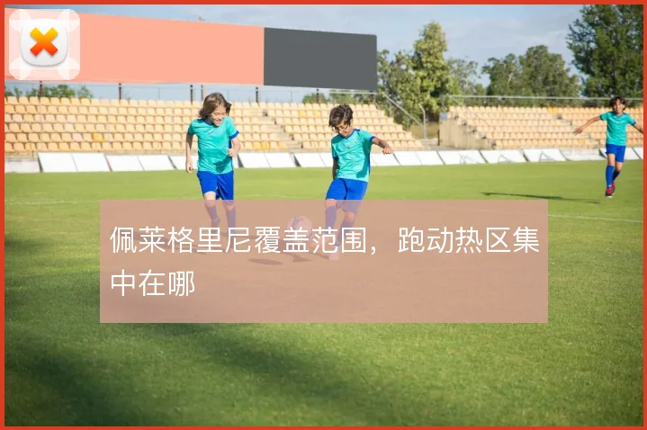 佩莱格里尼覆盖范围，跑动热区集中在哪
