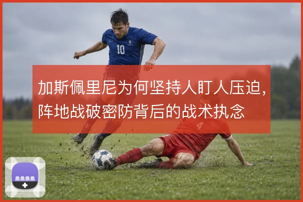 加斯佩里尼为何坚持人盯人压迫,阵地战破密防背后的战术执念