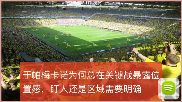 于帕梅卡诺为何总在关键战暴露位置感，盯人还是区域需要明确